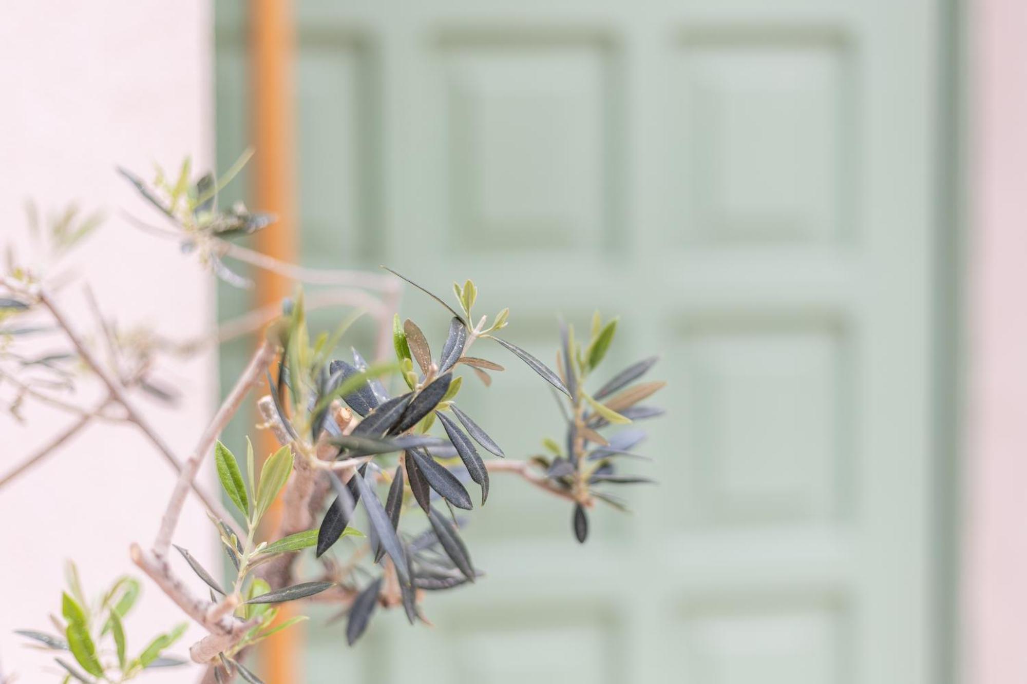 Erofili Traditional House Chrissi Akti Chania Exterior foto